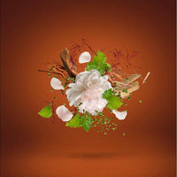 Casamorati 1888 Italica Eau De Parfum Spray (Unisex) - Saeyu