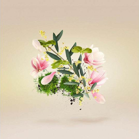 Xerjoff Fiore D'ulivo Eau De Parfum Spray